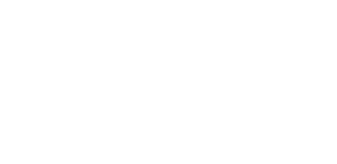 Women's Wealth Logo